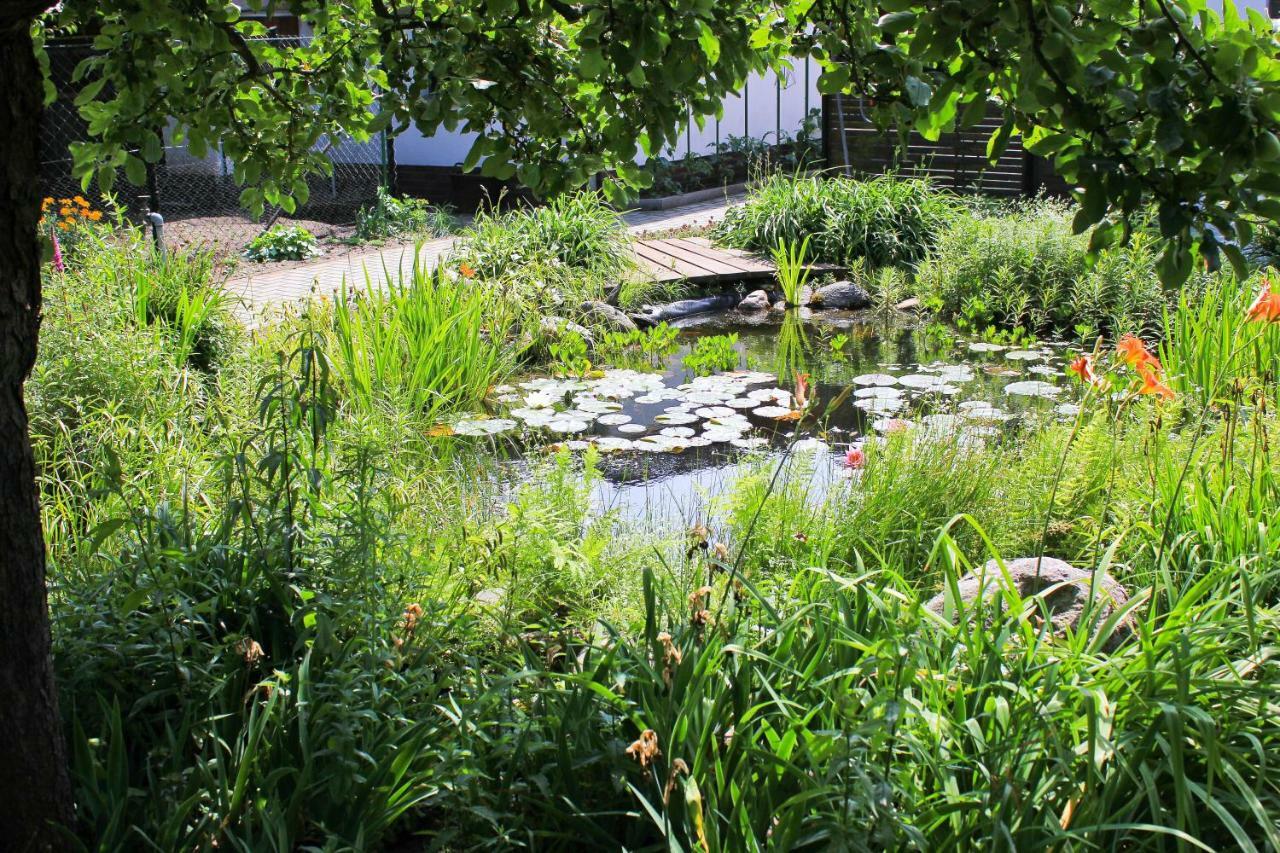 An Der Hainmuehle Lübben Exteriör bild