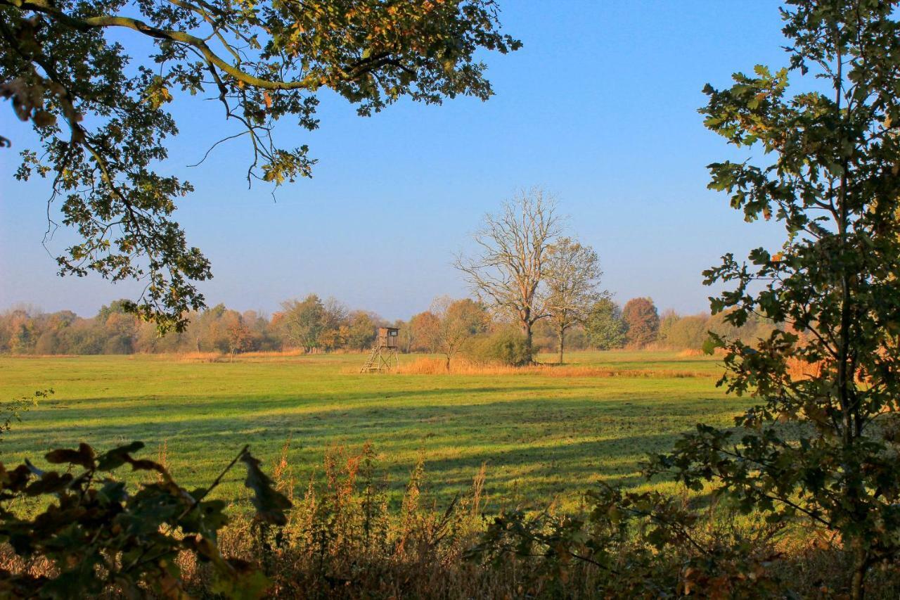 An Der Hainmuehle Lägenhet Lübben Exteriör bild